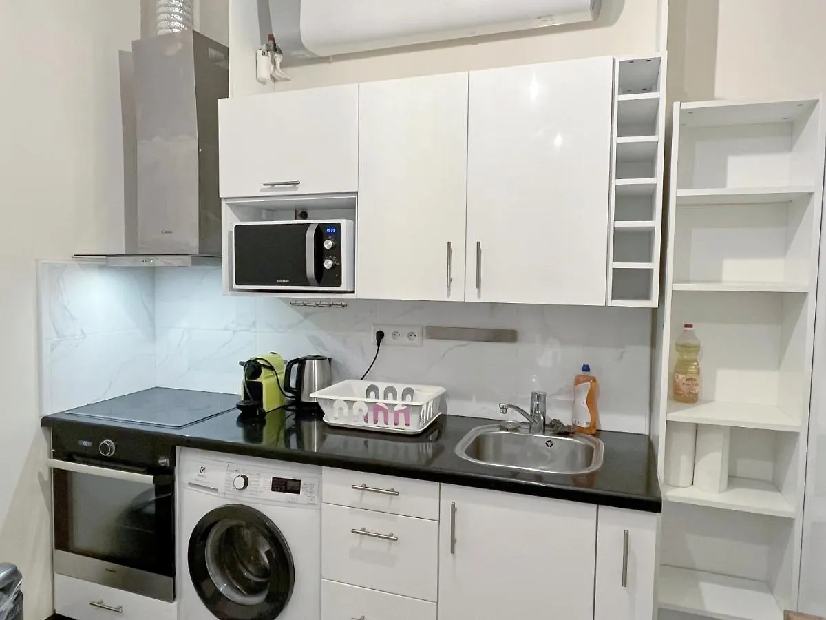 Bel Appartement Au Marais De Paris Daire